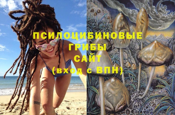 СК Алзамай